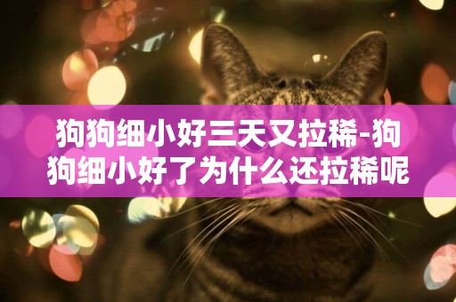 狗狗細小好三天又拉稀-狗狗細小好了為什么還拉稀呢
