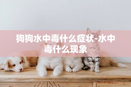 狗狗水中毒什么癥狀-水中毒什么現象