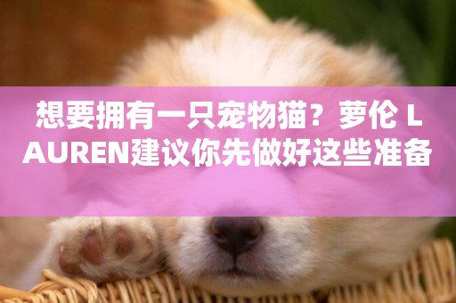 想要擁有一只寵物貓？蘿倫 LAUREN建議你先做好這些準備 