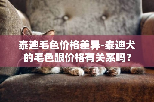 泰迪毛色價格差異-泰迪犬的毛色跟價格有關系嗎？