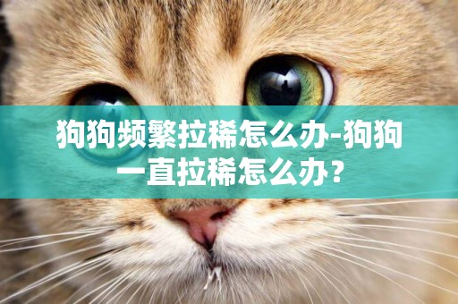 狗狗頻繁拉稀怎么辦-狗狗一直拉稀怎么辦？