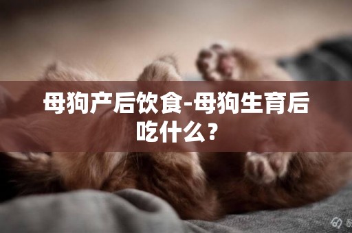 母狗產后飲食-母狗生育后吃什么？