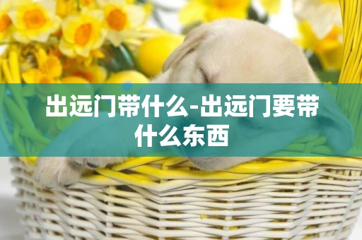 出遠門帶什么-出遠門要帶什么東西