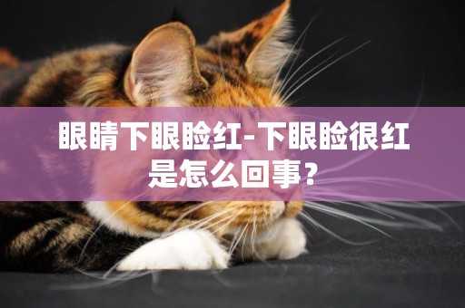 眼睛下眼瞼紅-下眼瞼很紅是怎么回事？