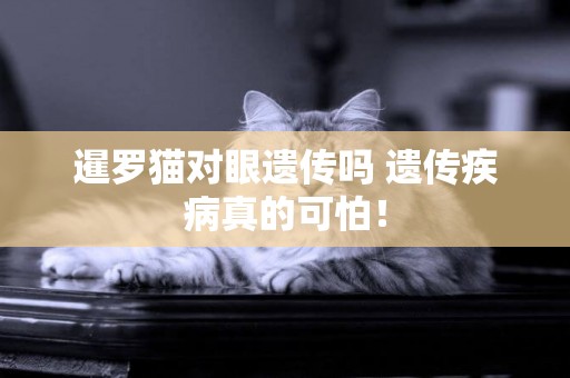 暹羅貓對眼遺傳嗎 遺傳疾病真的可怕! 暹羅貓對眼遺傳嗎 遺傳疾病真的可怕!