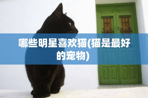 哪些明星喜歡貓(貓是最好的寵物) 