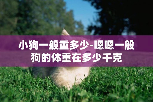 小狗一般重多少-嗯嗯一般狗的體重在多少千克