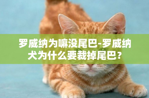 羅威納為嘛沒尾巴-羅威納犬為什么要裁掉尾巴？