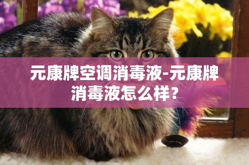 元康牌空調消毒液-元康牌消毒液怎么樣？