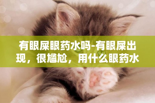 有眼屎眼藥水嗎-有眼屎出現，很尷尬，用什么眼藥水吃