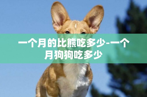 一個月的比熊吃多少-一個月狗狗吃多少
