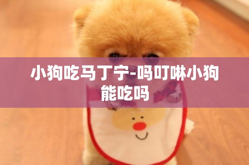 小狗吃馬丁寧-嗎叮啉小狗能吃嗎