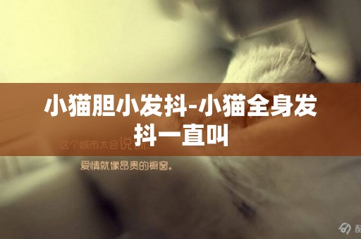 小貓膽小發抖-小貓全身發抖一直叫