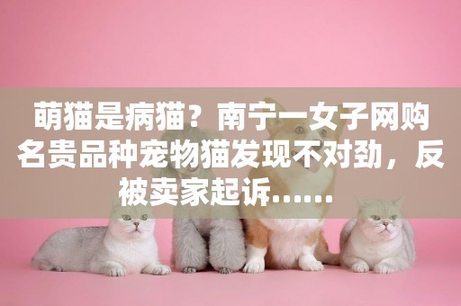 萌貓是病貓？南寧一女子網購名貴品種寵物貓發現不對勁，反被賣家起訴…… 