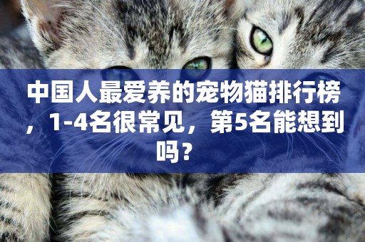 中國人最愛養的寵物貓排行榜，1-4名很常見，第5名能想到嗎？ 