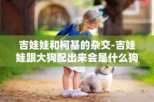 吉娃娃和柯基的雜交-吉娃娃跟大狗配出來會是什么狗