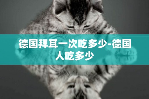 德國拜耳一次吃多少-德國人吃多少