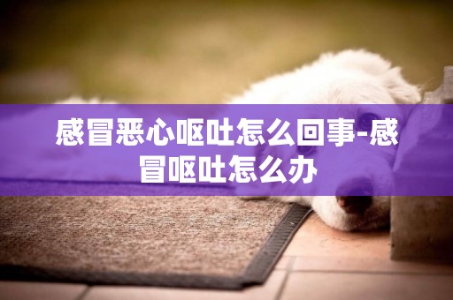 感冒惡心嘔吐怎么回事-感冒嘔吐怎么辦