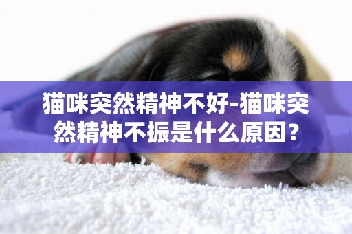貓咪突然精神不好-貓咪突然精神不振是什么原因？