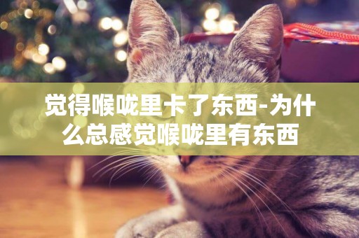 覺得喉嚨里卡了東西-為什么總感覺喉嚨里有東西