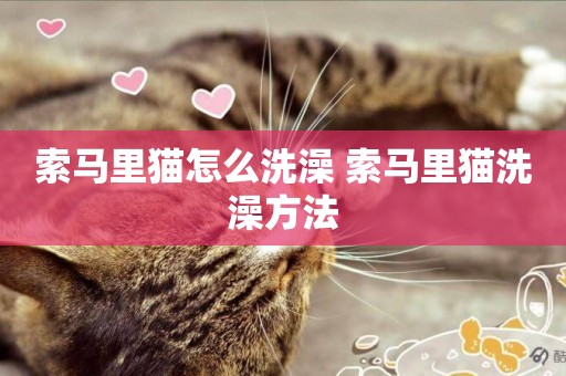 索馬里貓怎么洗澡 索馬里貓洗澡方法