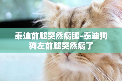 泰迪前腿突然瘸腿-泰迪狗狗左前腿突然瘸了