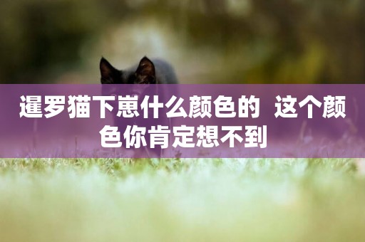 暹羅貓下崽什么顏色的  這個顏色你肯定想不到