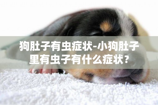 狗肚子有蟲癥狀-小狗肚子里有蟲子有什么癥狀？