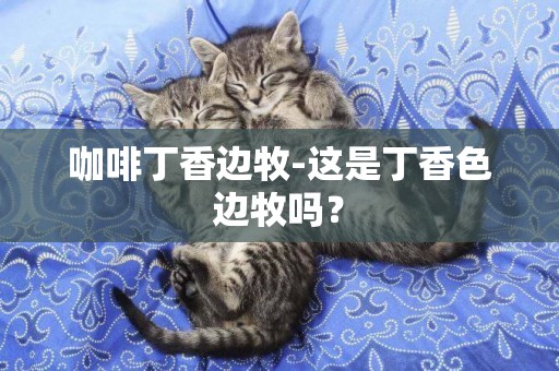 咖啡丁香邊牧-這是丁香色邊牧嗎？
