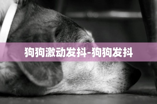 狗狗激動發抖-狗狗發抖