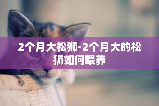 2個月大松獅-2個月大的松獅如何喂養