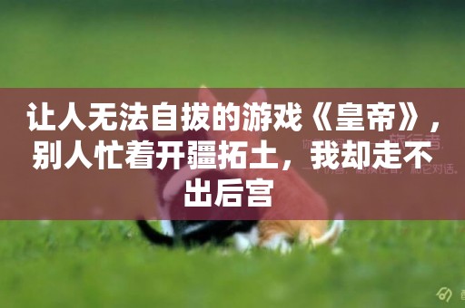 讓人無法自拔的游戲《皇帝》，別人忙著開疆拓土，我卻走不出后宮 