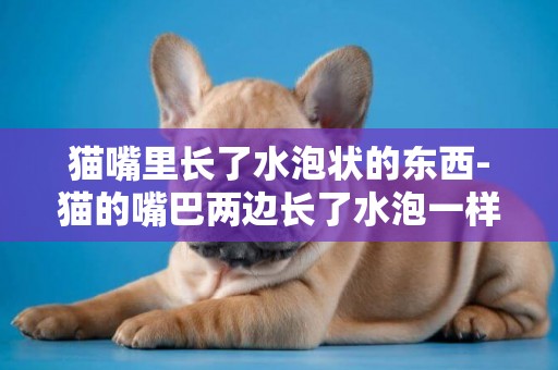 貓嘴里長了水泡狀的東西-貓的嘴巴兩邊長了水泡一樣的東西