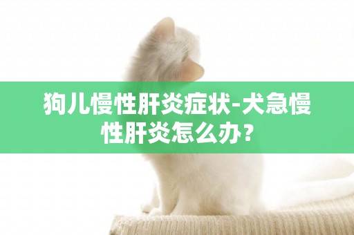 狗兒慢性肝炎癥狀-犬急慢性肝炎怎么辦？