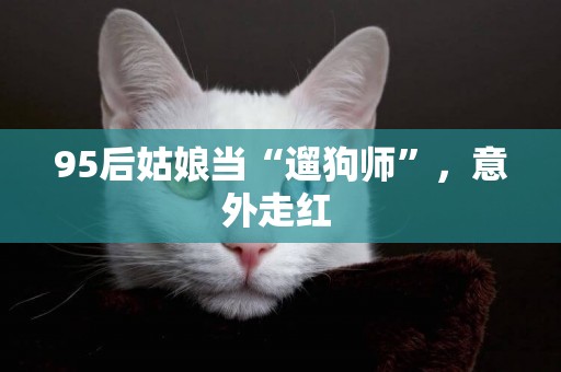 95后姑娘當“遛狗師”，意外走紅 