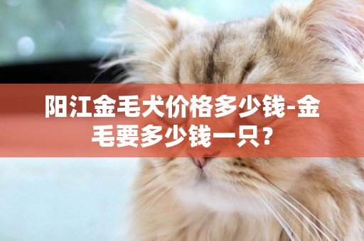 陽江金毛犬價格多少錢-金毛要多少錢一只？
