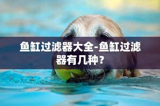 魚缸過濾器大全-魚缸過濾器有幾種？
