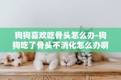 狗狗喜歡吃骨頭怎么辦-狗狗吃了骨頭不消化怎么辦啊