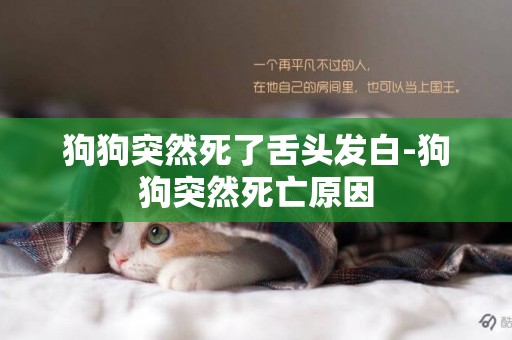 狗狗突然死了舌頭發白-狗狗突然死亡原因