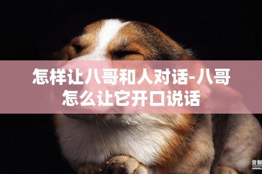 怎樣讓八哥和人對話-八哥怎么讓它開口說話