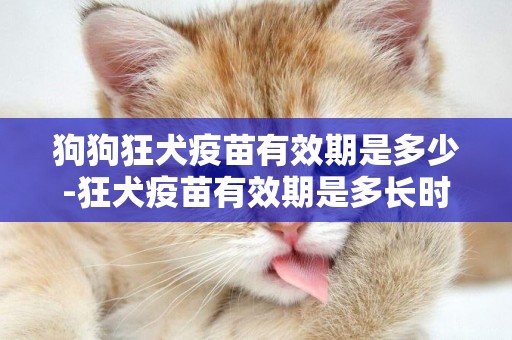 狗狗狂犬疫苗有效期是多少-狂犬疫苗有效期是多長時間