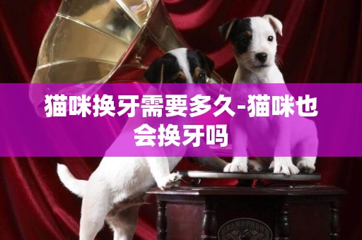 貓咪換牙需要多久-貓咪也會換牙嗎