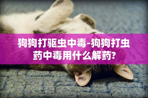 狗狗打驅蟲中毒-狗狗打蟲藥中毒用什么解藥?
