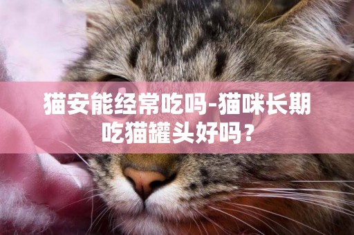 貓安能經常吃嗎-貓咪長期吃貓罐頭好嗎？