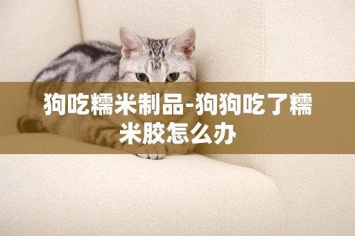 狗吃糯米制品-狗狗吃了糯米膠怎么辦