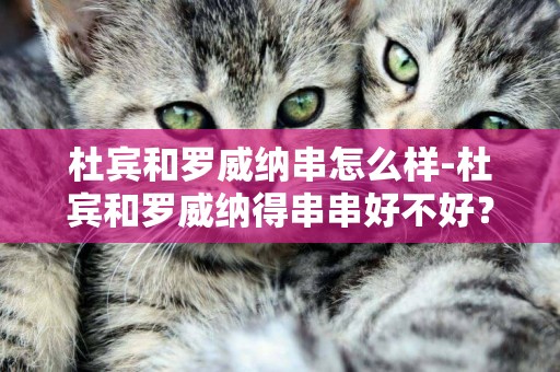 杜賓和羅威納串怎么樣-杜賓和羅威納得串串好不好？