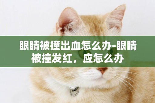 眼睛被撞出血怎么辦-眼睛被撞發紅，應怎么辦