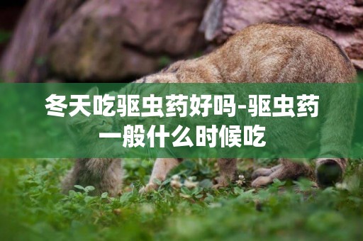 冬天吃驅蟲藥好嗎-驅蟲藥一般什么時候吃