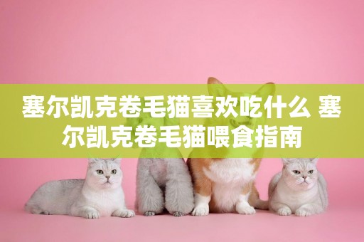 塞爾凱克卷毛貓喜歡吃什么 塞爾凱克卷毛貓喂食指南