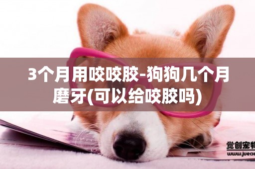 3個月用咬咬膠-狗狗幾個月磨牙(可以給咬膠嗎)